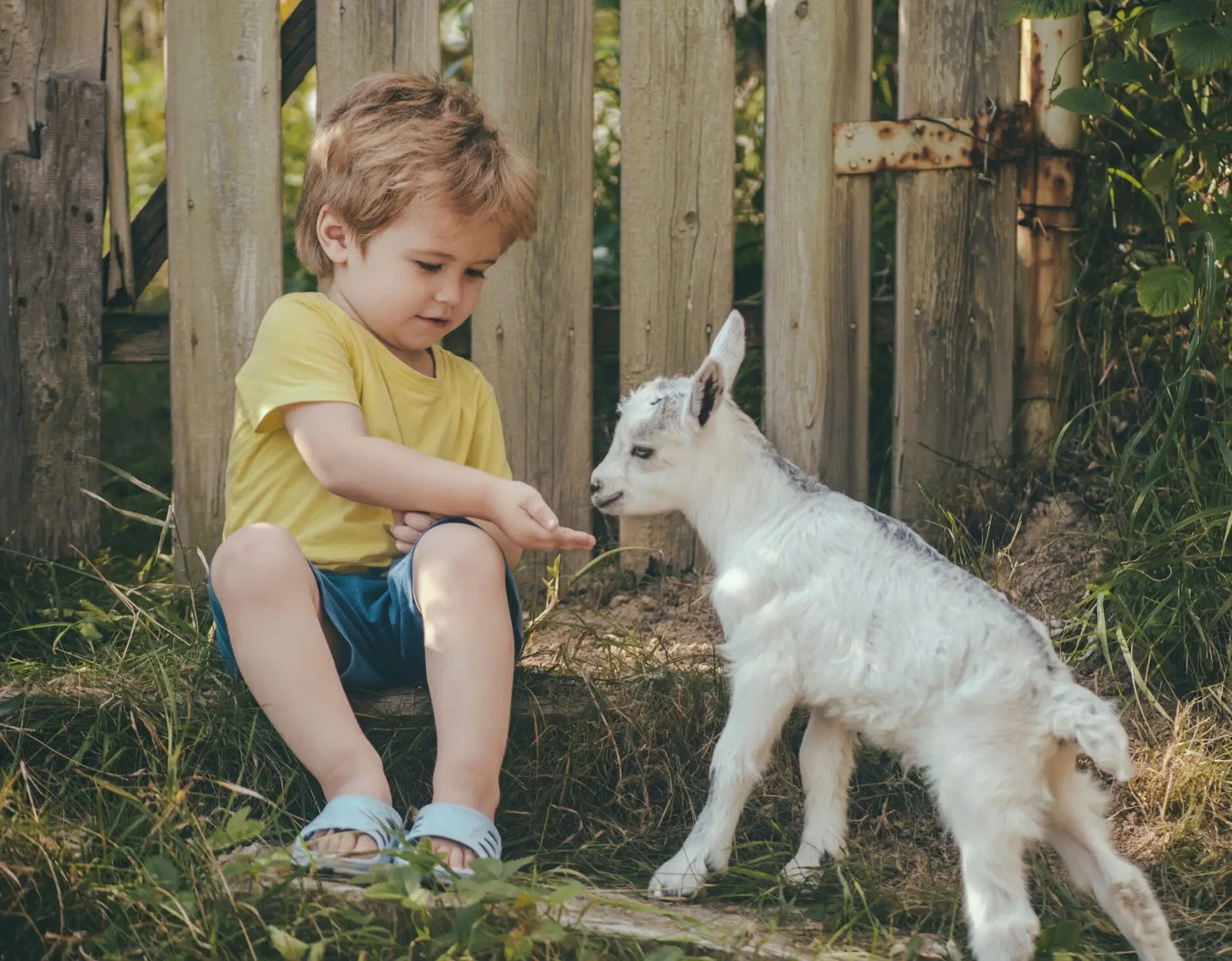 Role of Goat Milk in Infant and Childhood Nutrition