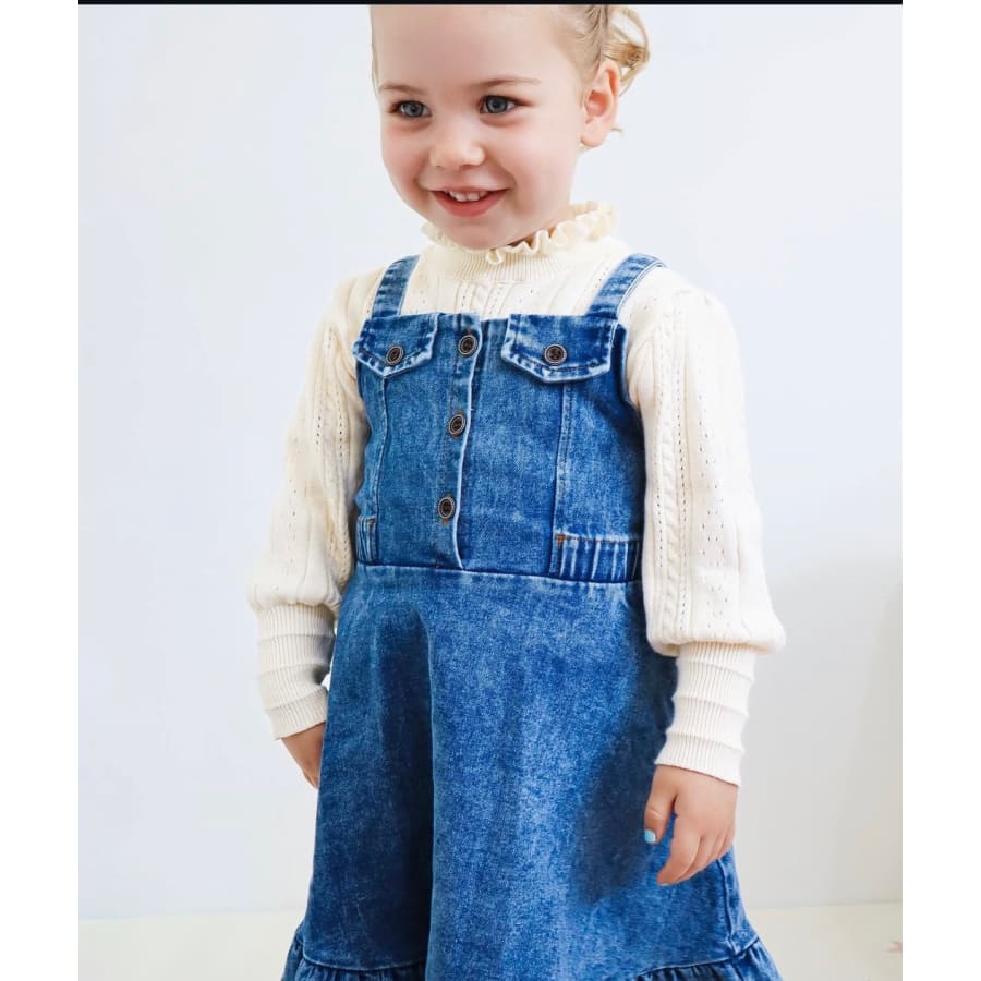 Polly Denim Dress