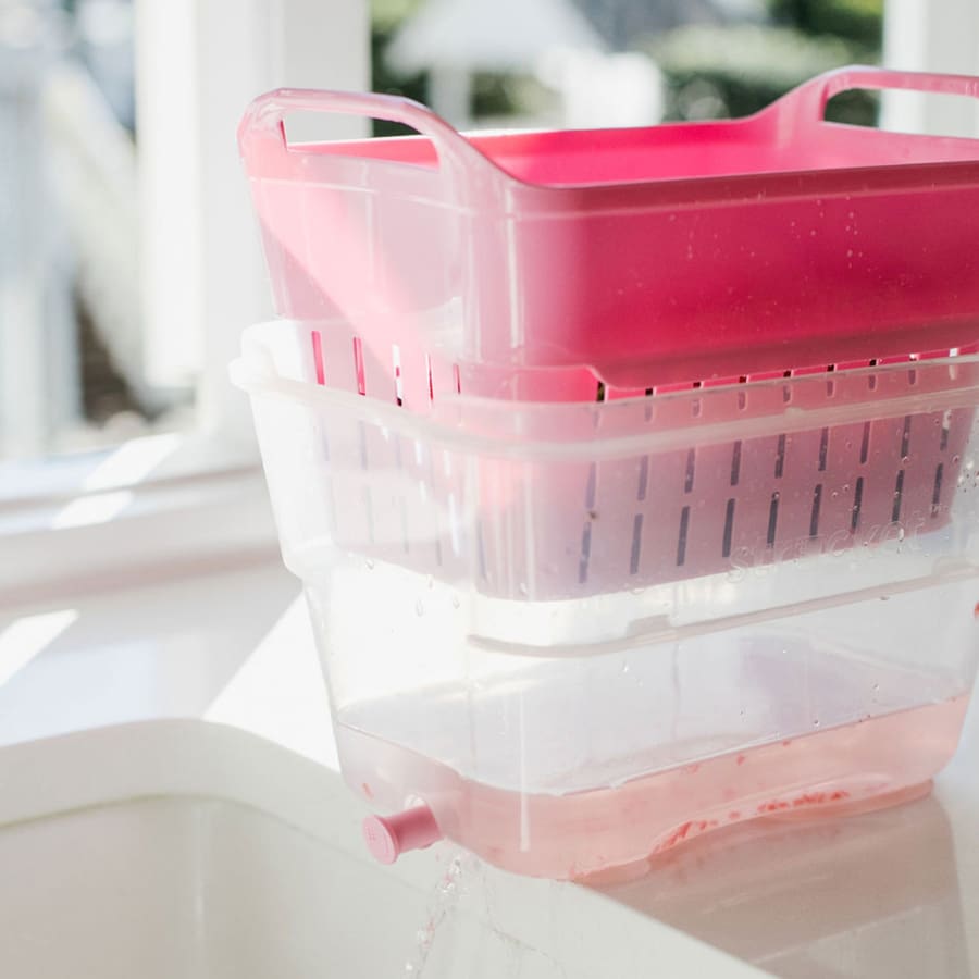 The Strucket Mini - Pink - Clear - Bucket bucket, strucket